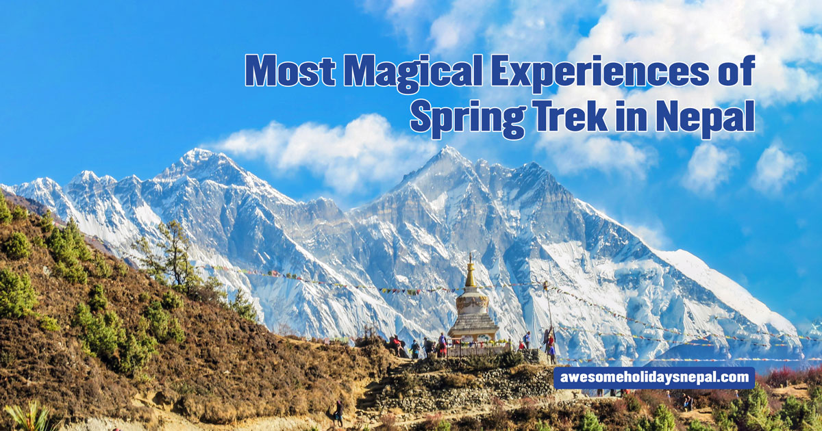 AhnNepal's tweet card. Want to experience the magic of natural wonders along with stunning Himalayan vistas? If so book any of the spring treks in Nepal and enjoy it!