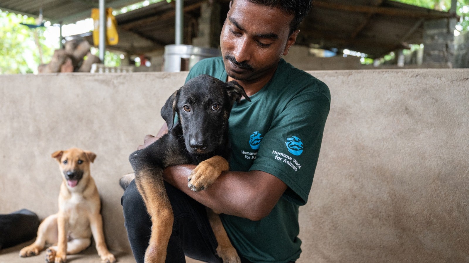 humaneworldorg's tweet card. Press releases, media contacts, photos/videos and other resources for journalists and media professionals only.