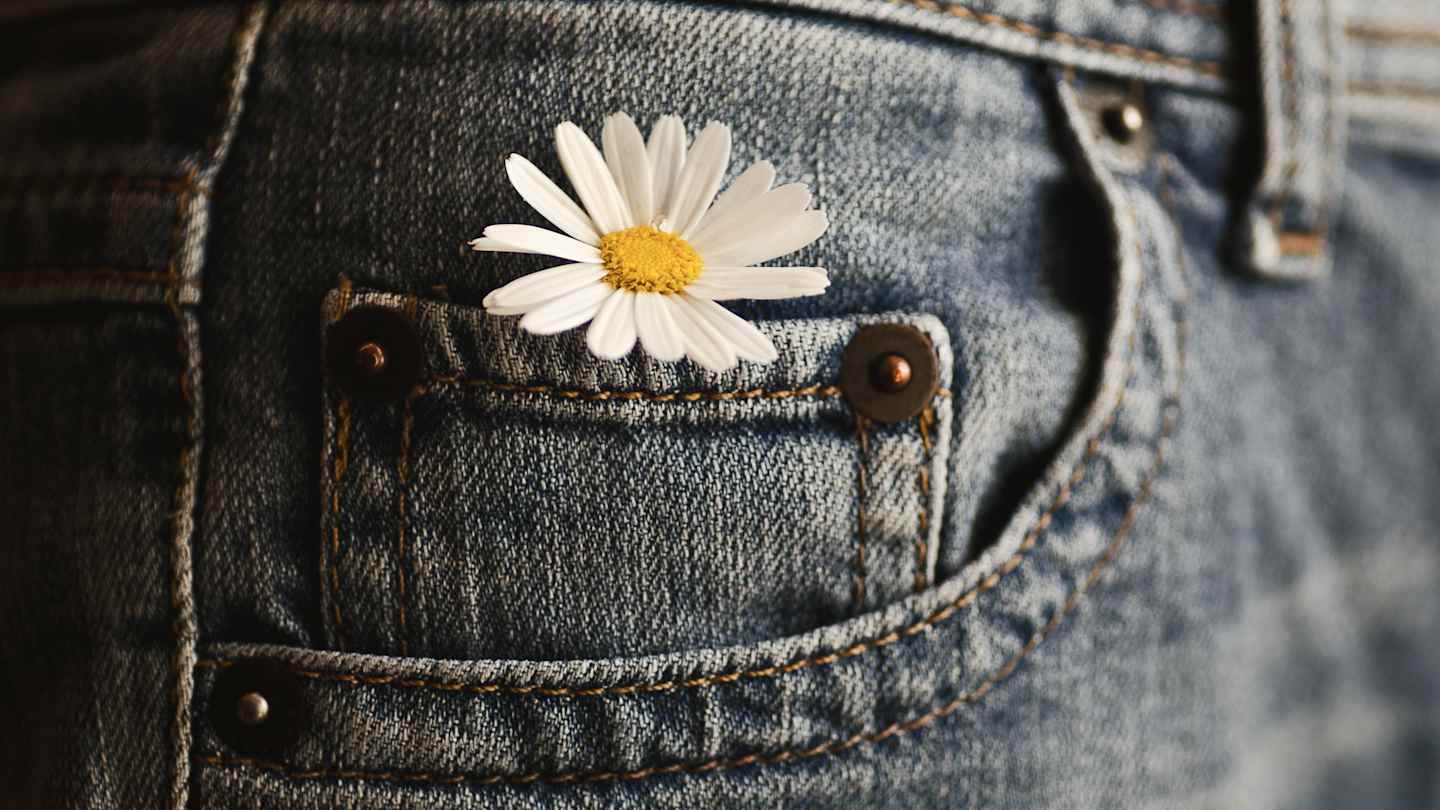 OpenmindMango's tweet card. You may never look at these household staples the same way again.