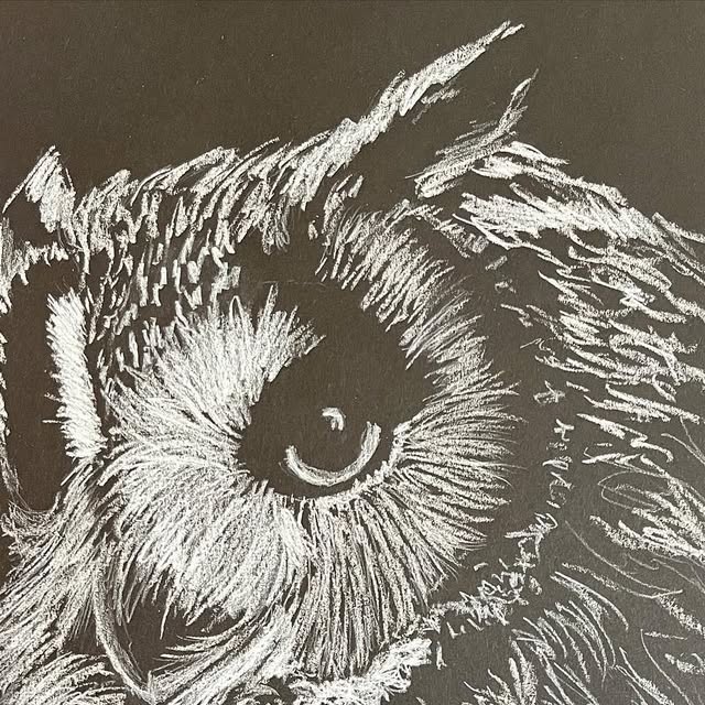 CreativeCorrena's tweet card. Correna ✨ (@creativecorrena) • Instagram photos and videos