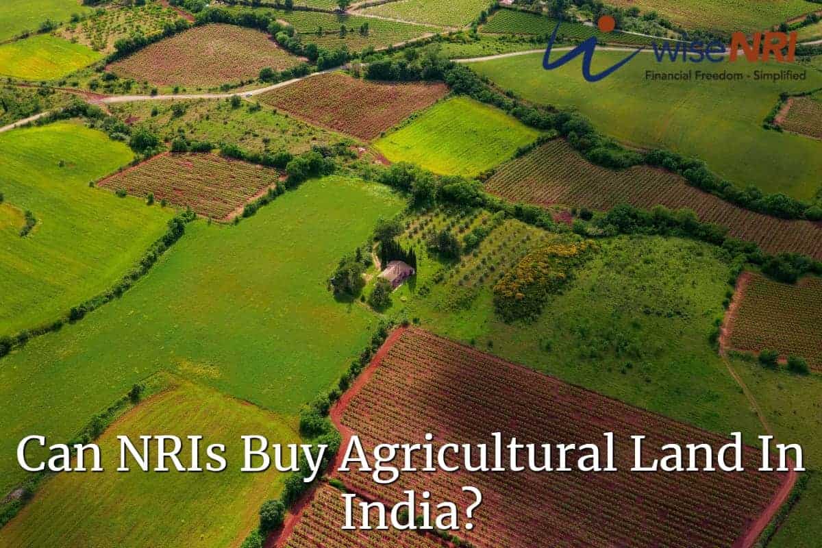 wiseNRI's tweet card. Can NRIs buy agricultural land in India? Understand the legal rules, inheritance laws, taxation, and sale restrictions for NRIs and OCIs investing in farmland.