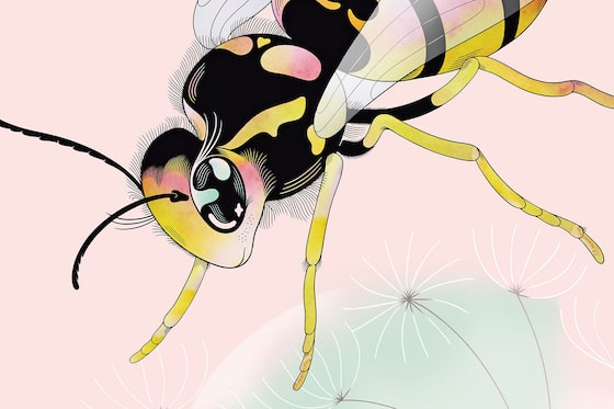 WaspWoman's tweet card. We spend our summers in fear of the sting of the wasp – and yet we all want to save the bee. How do we extend as much empathy and grace to wasps and other less charismatic pollinators that are just...