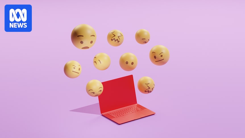 paulgomusic's tweet card. Algorithmic feeds should personalise our online experiences, but instead they are "deadening our tastes" and fostering a dull conformity.