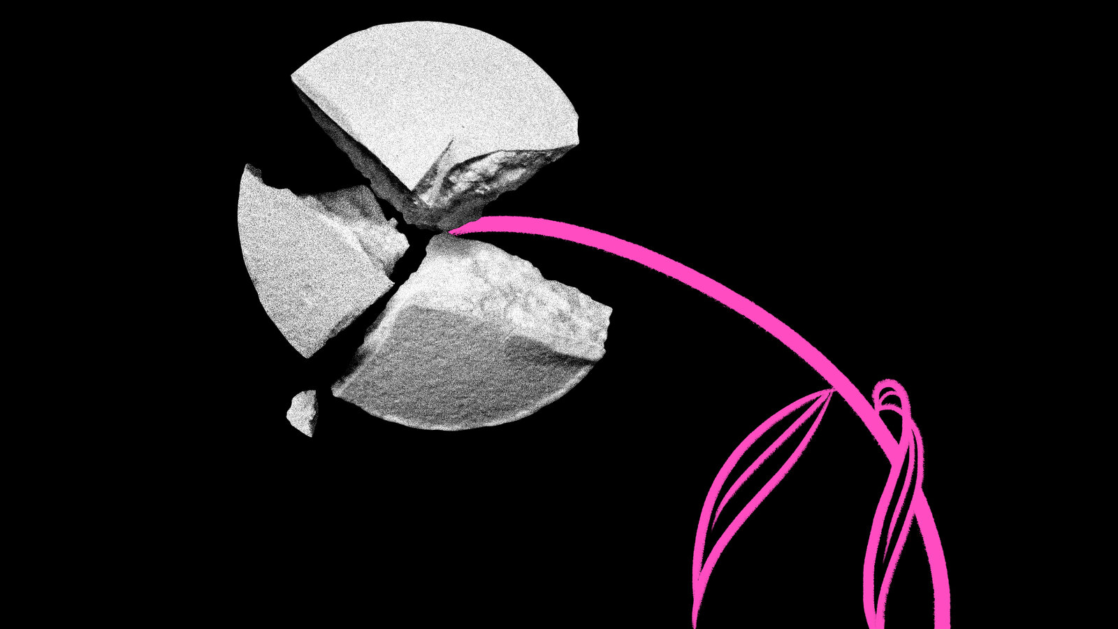 TrustWomen's tweet card. American women need the freedom to determine the course of their own lives.