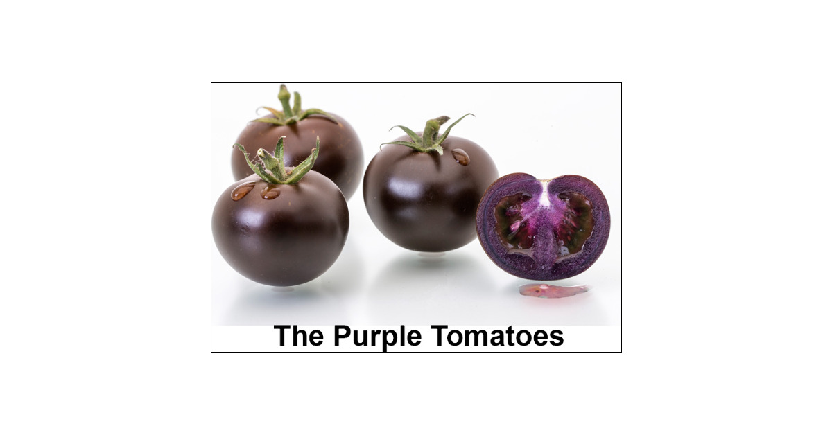 jonathandgjones's tweet card. A world apart from academic research, the path from developing a polyphenol-rich crop to a product available to consumers is not one taken by many research scientists. Here we review the steps taken...