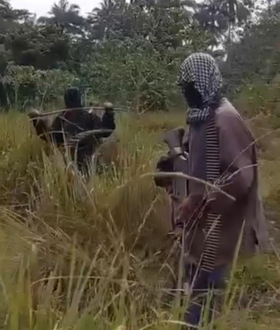 ZagazOlaMakama's tweet card. IPOB  staged video in attempts to frame herders, incite genocide narrative   By: Zagazola Makama    A controversial video circulating on social media has triggered outrage over a “staged attempt to...