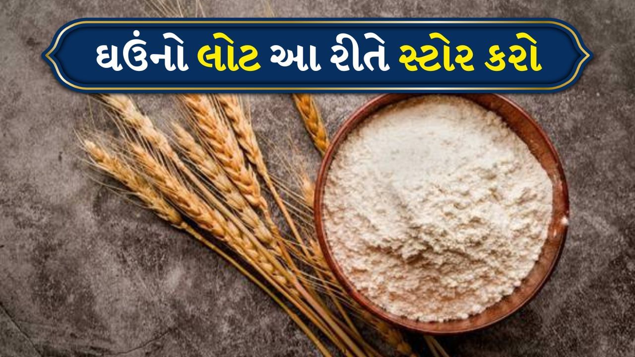 tv9gujarati's tweet card. કારણ સરળ છે, ઘરે બનાવેલો લોટ તાજો અને કોઈપણ ભેળસેળથી મુક્ત હોય છે. જો કે જો ધ્યાન ન આપવામાં આવે તો ઘઉં કે લોટ સરળતાથી જંતુઓથી પ્રભાવિત થઈ શકે છે અથવા ભેજ વાળો થઈ શકે છે.