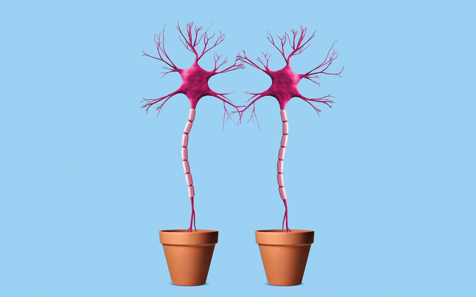 LFeldmanBarrett's tweet card. Neuroscientist Lisa Feldman Barrett explains some of the ways your brain is constantly changing itself (usually without your awareness) as you interact with other people.