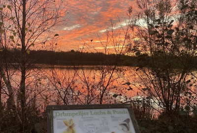 step_count's tweet card. Team Airdrie Town Hall Chumps came in second place in this year's autumn Step Count Challenge. We asked the team to share how they keep active during the working day, and what they enjoy about taking...