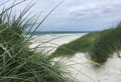 step_count's tweet card. Last week, we asked you to share your favourite happy place, and what makes it special for you. Read the winning entry below, along with a few of our favourite submissions.