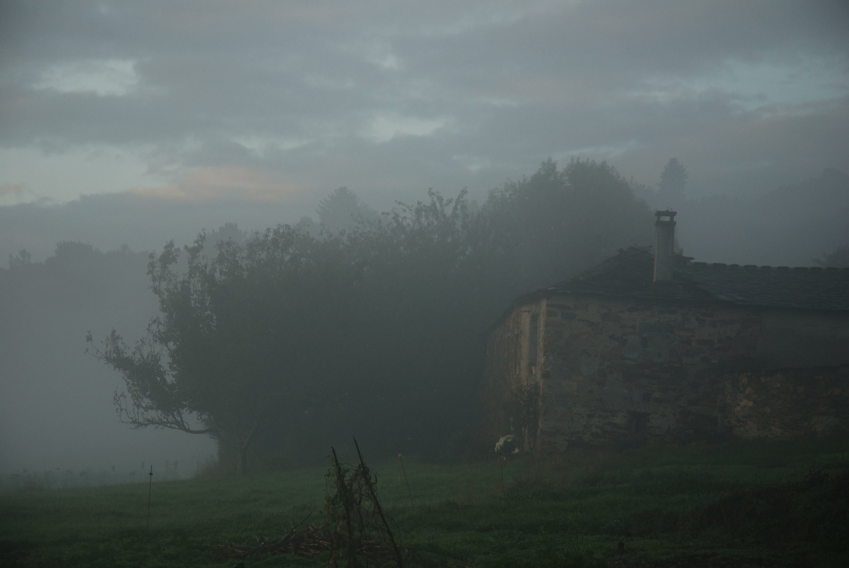 BlogAlmendron's tweet card. En algún punto entre Castro y la pequeña aldea de O Padron (muy cerca de Fonsagrada), los peregrinos que recorren los senderos del Camino Primitivo dan los primeros pasos del día entre la bruma.
