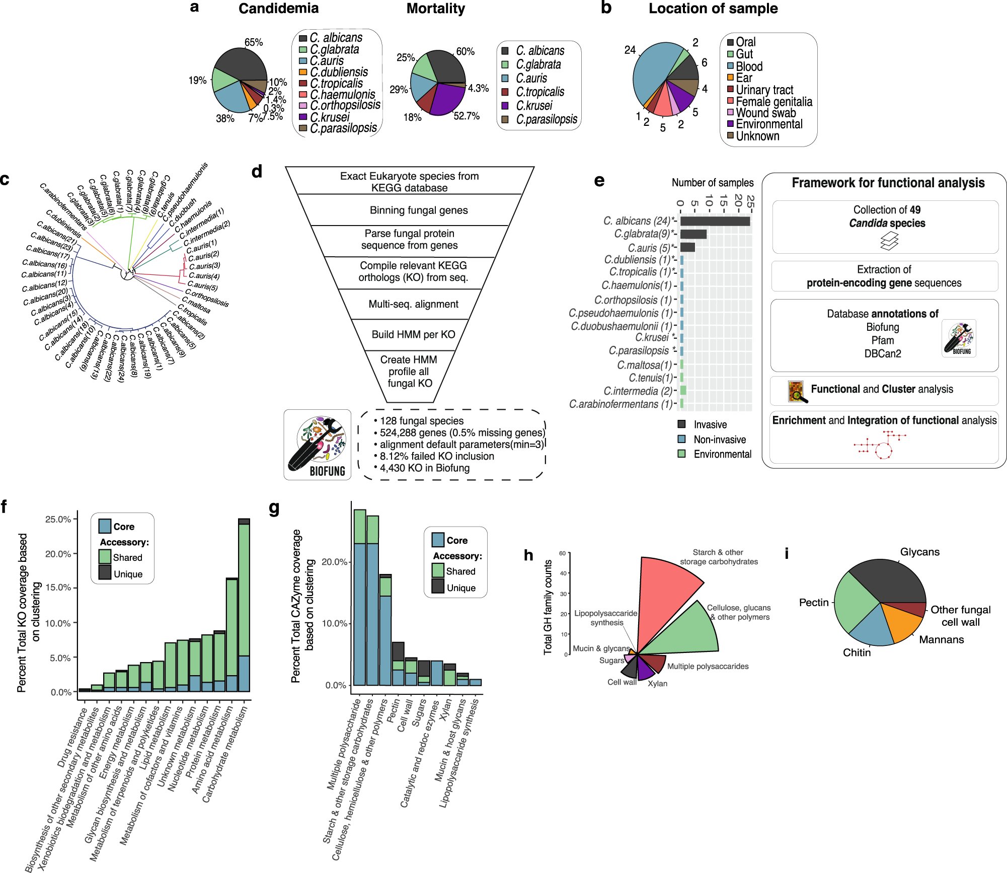 CommsBio's tweet card. Communications Biology - Metabolic differences between Candida species are uncovered using the BioFung database alongside genomic and metabolic analysis.