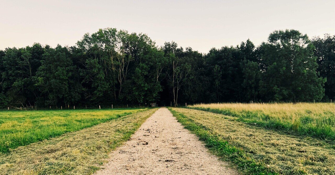 c1_eitango_bot's tweet card. こんにちは。はじめましての皆さま、フォロワーの皆さま、興味を持っていただきありがとうございます。 noteをやり出してしばらく経ったのですが、ちゃんとした自己紹介をしていませんでした。 今回は自分がどのように、英語に興味を持ち出したのか、そして10年近い英語学習の軌跡について書いていきたいと思います。 はじめまして 私は大学院生です。30歳近くになっても学生をやらせてもらっています。また本当...