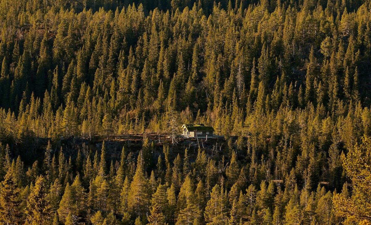 ImpactAlpha's tweet card. The wildfires that ravaged Los Angeles for more than three weeks in January were an unseasonal fluke—and a signal of the more frequent ...