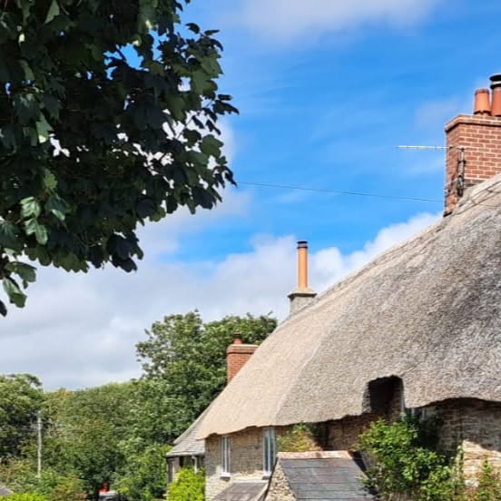 elm_tree_inn's tweet card. Martin (@biggreenbag) • Instagram photo