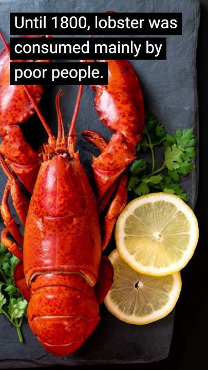 blistdotcc's tweet card. 10 weird Random facts from history