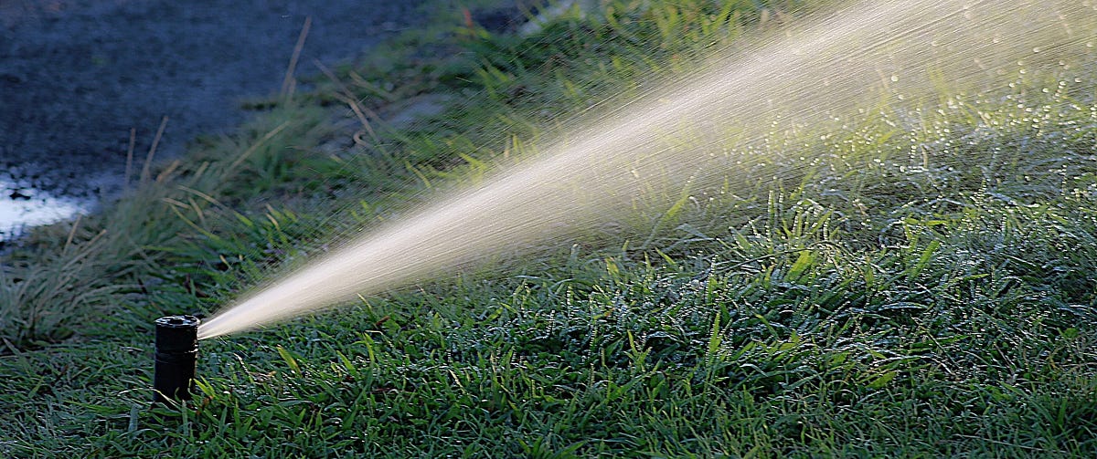 DanielTrumpp's tweet card. If you have a beautiful garden you want to keep plants healthy and strong, hence you probably need to water them during weeks of hot…