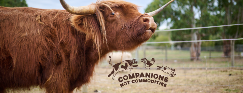 monkey_moo18's tweet card. Nominate Til The Cows Come Home to share $2,000,000