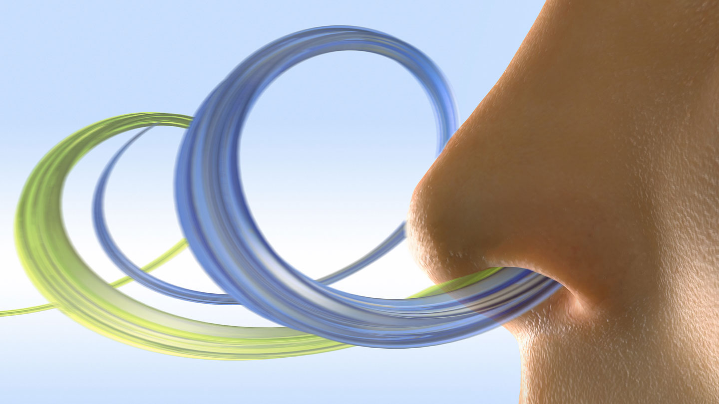 ScienceNews's tweet card. The speed at which our brain can tell smells apart is on par with color perception, a new sniff device shows.