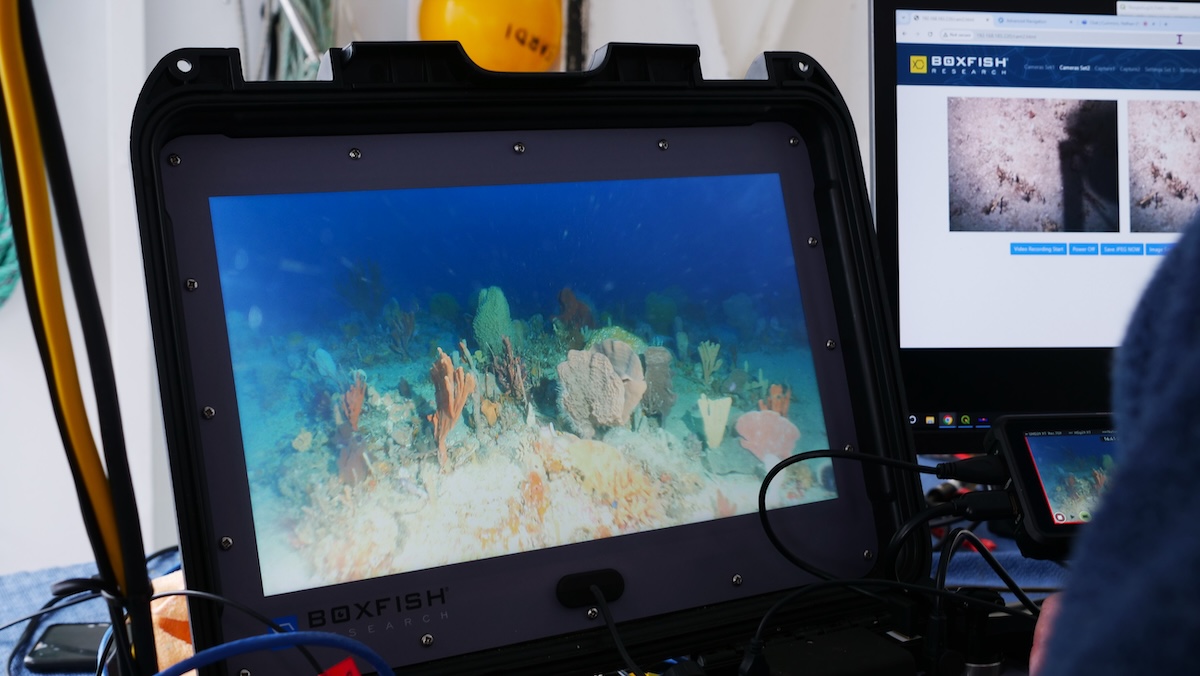 OceanSciTec's tweet card. Scientists from the University of Tasmania have used a custom Remotely Operated Vehicle (ROV) from Boxfish Robotics to capture underwater...