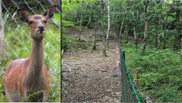 Mtok_Snsk's tweet card. 研究者と個人を支援でつなぐ学術系クラウドファンディングサイトです。多様な分野の研究者が自身の研究を進めるためチャレンジしています。