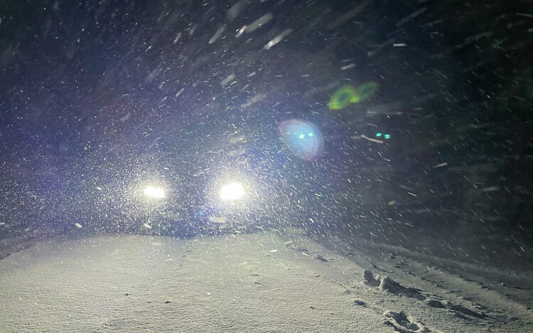 avandyc's tweet card. Motorists fear eco-friendly lights more than anything else while driving at night, poll suggests