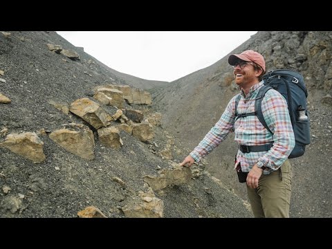 ross_p_anderson's tweet card. Talk: Digging the dirt on some of the world’s oldest fossils