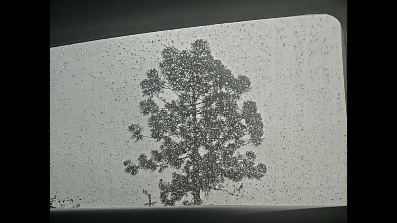 FillipyPirolla's tweet card. Lá fora, a chuva cai ♪ Querido Ser 🪽