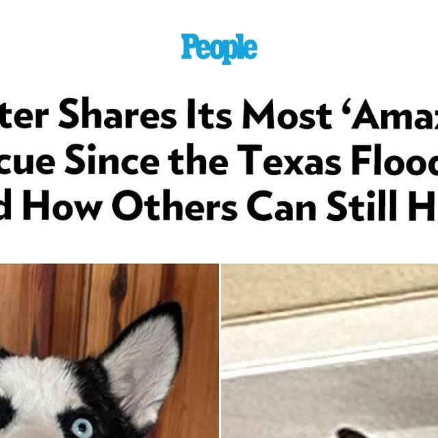 steph2theright's tweet card. People Magazine (@people) • Instagram photos and videos