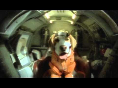 L3t_it_be's tweet card. Cosmos - Take Me With You (Official Video)