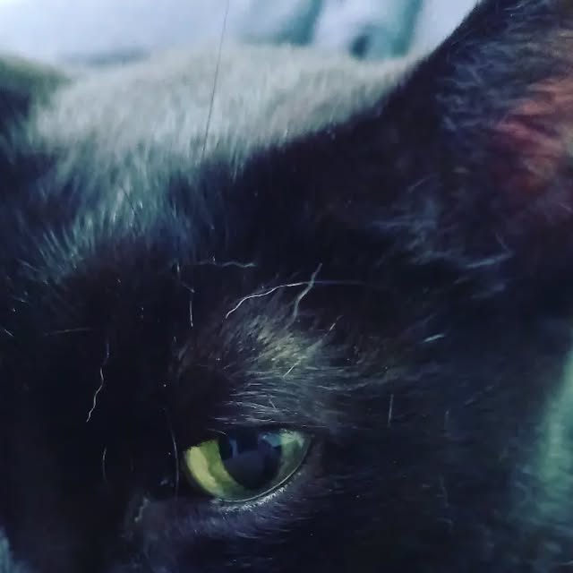 ChequerChequer's tweet card. Chequer Hanna Dazzi Chequer (@chequer.chequer) • Instagram photo