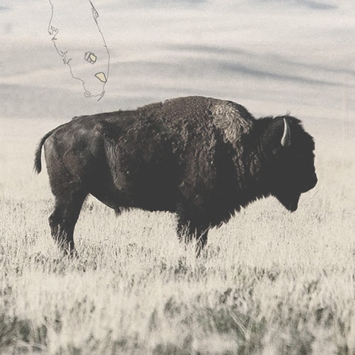 keeslokman's tweet card. Decolonization is a complex and multifaceted process that involves examining and denouncing colonialism; recovering and adopting Indigenous knowledge, language and practices, and; undertaking schol…