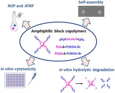 PolySyc's tweet card. Well-defined amphiphilic biodegradable block copolymers (BCPs) are promising materials as drug/gene carriers because they can self-assemble in aqueous medium and form various nanostructures. In this...