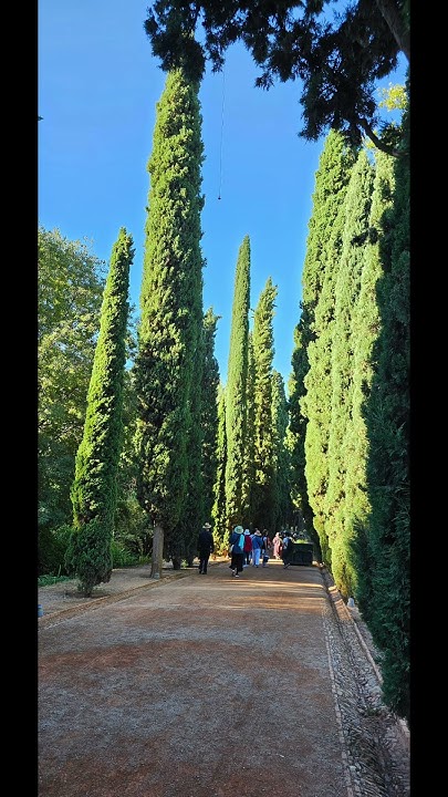 lkjhljs's tweet card. #헤네랄리페 #Alcazaba #마드리드 #알람브라 #카를로스 궁전 Palacio de Carlos V #Alhambra...