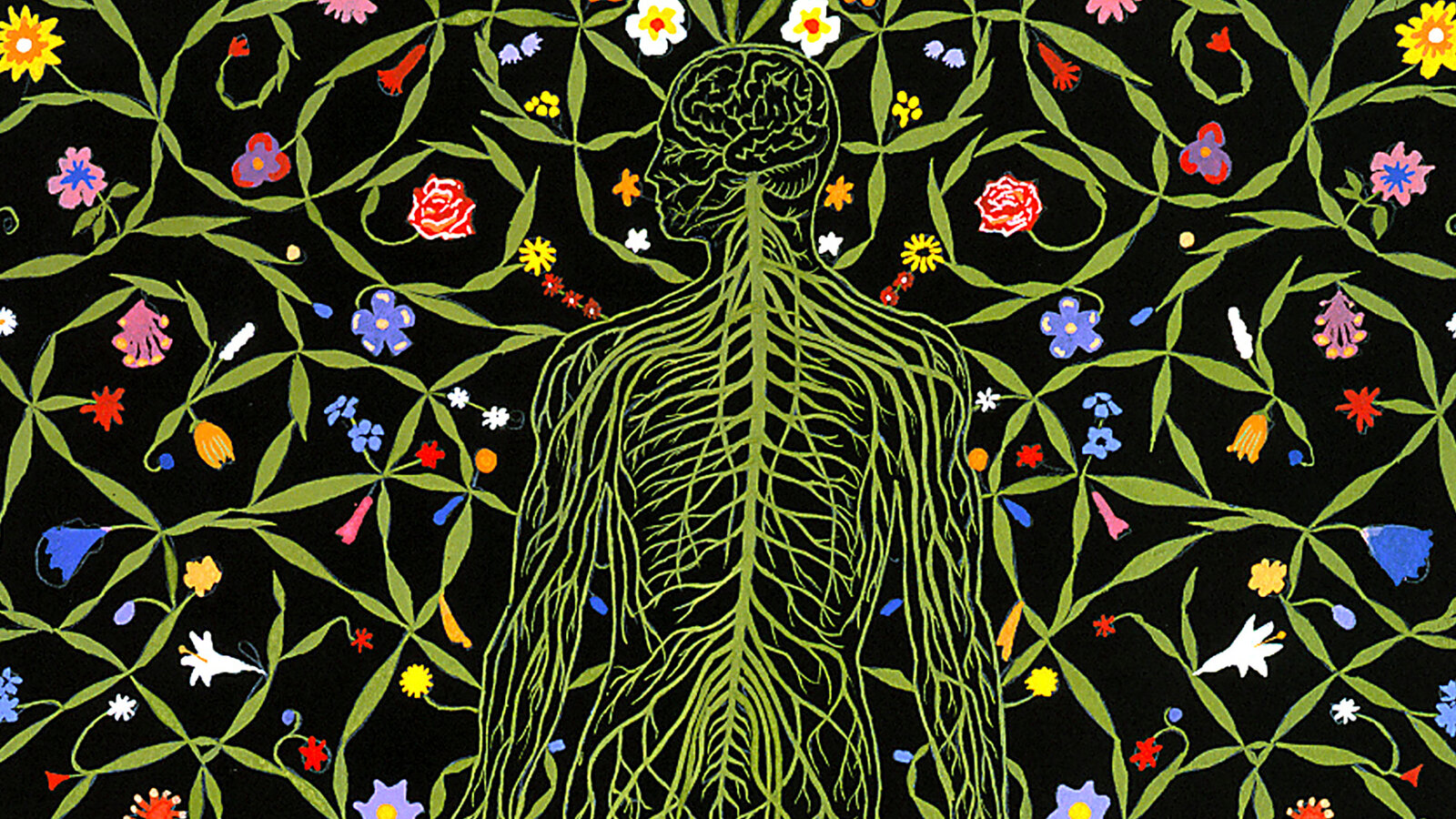 sjauhar's tweet card. Once higher brain functions are irreversibly gone, does a person really exist?