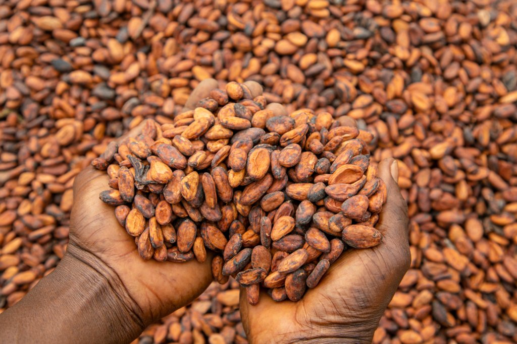 ANARwandaNews's tweet card. Ghana has announced an unprecedented 45% increase in the price paid to cocoa producers, rising from 33,120 cedis to 48,000 cedis...