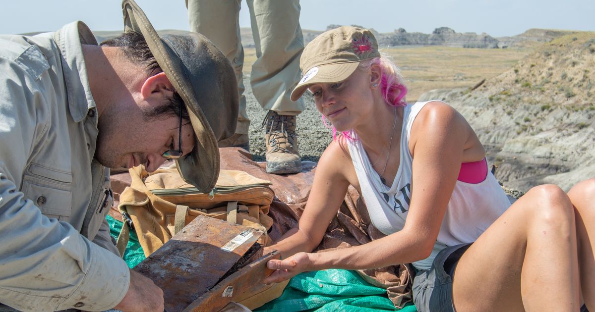 katienotopoulos's tweet card. It took ten days for two researchers to turn on each other, each claiming to have found new evidence of when the asteroid hit Earth.