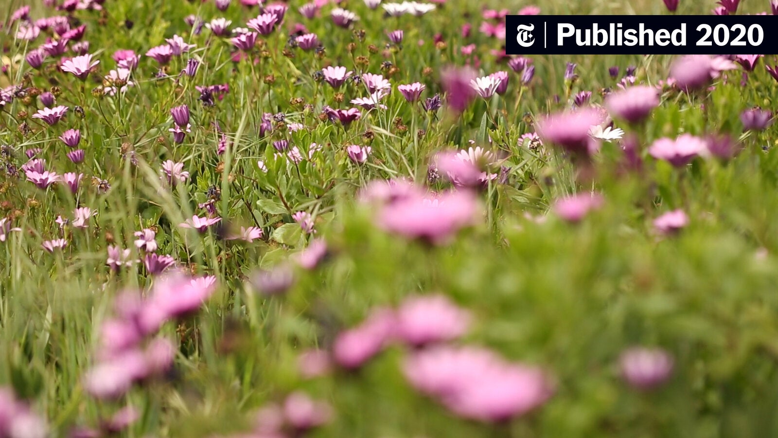 cindygallop's tweet card. Is the election giving you nervous energy? Click on this.