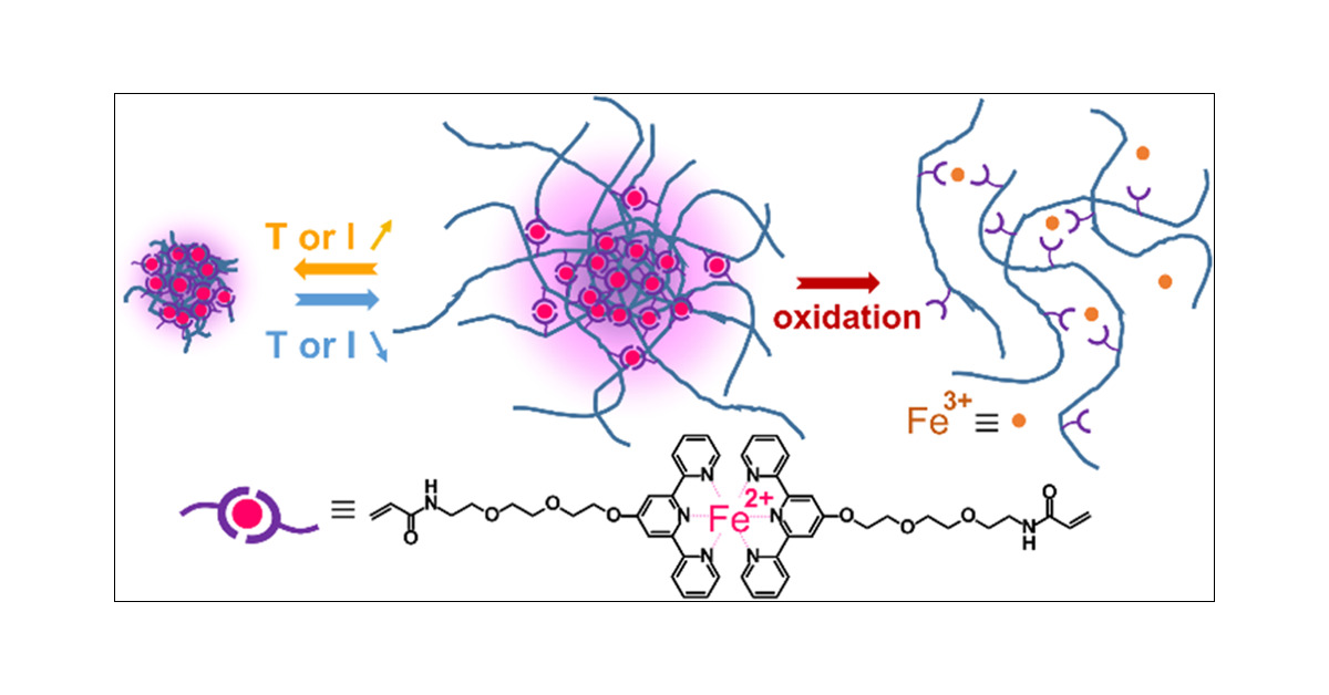 nicolas__sanson's tweet card. Stimuli-responsive microgels are of great interest not only in fundamental research but also in a broad range of applications. In this study, we synthesize multiresponsive supramolecular poly(N-iso...
