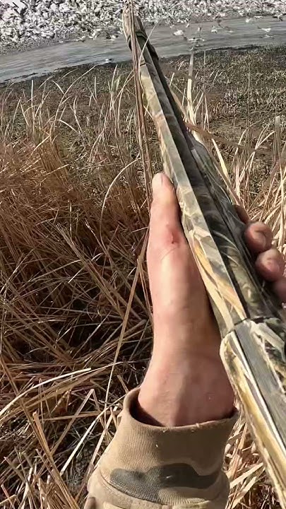 shdv2388's tweet card. Jumping snows#waterfowl #hunting #birds #birdhunting #waterfowlhunt...