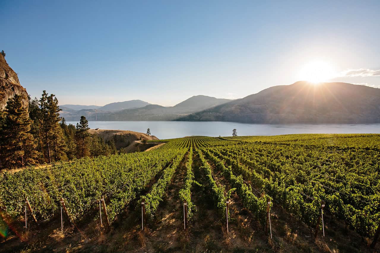 Tourism_Kelowna's tweet card. BC WINE EVENTS From tastings to tunes, find out what’s happening in wine country. In BC’s nine vibrant wine regions, every pour is paired with special moments along the way....