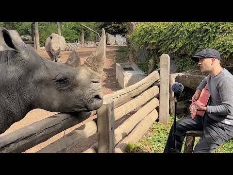 centerinventor1's tweet card. Singing for Animals compilation 🥹❤️‍🩹