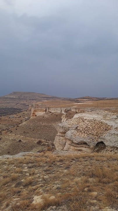 canpolaterkan21's tweet card. engüzek plain