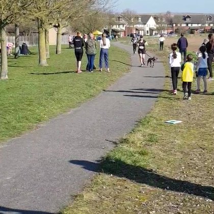 Tweet card summary image