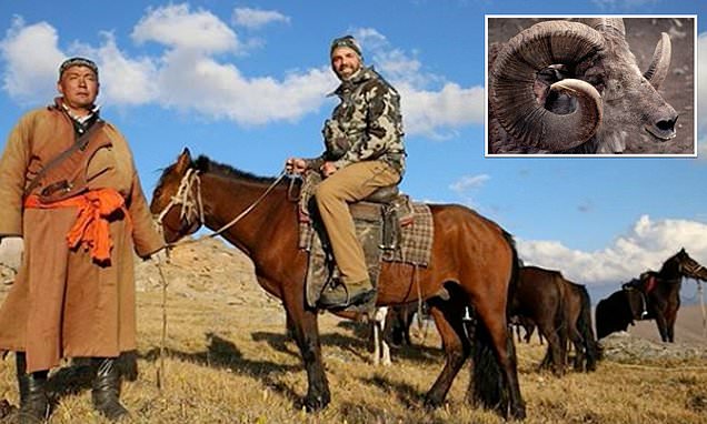 Daily_MailUS's tweet card. Donald Trump Jr. cost taxpayers more than $75,000 to take a father-and-son trip to Mongolia last August and kill an endangered argali sheep.