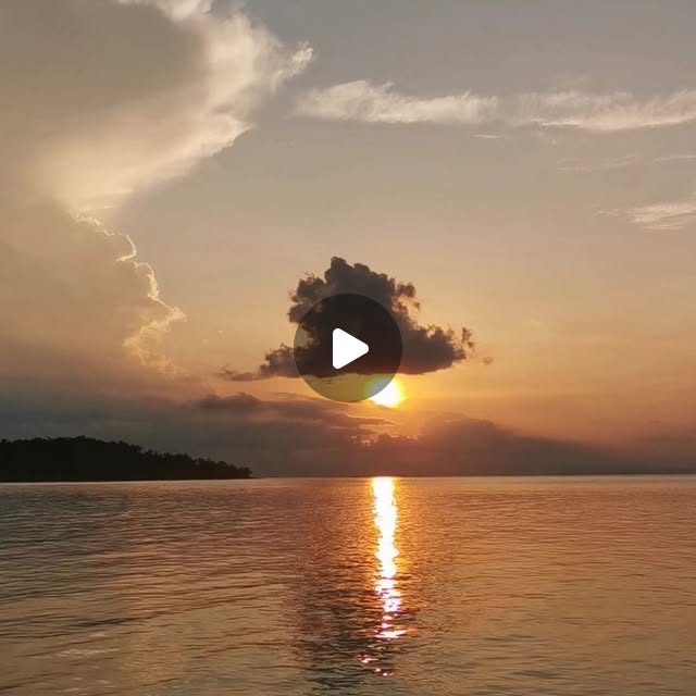 treehouse_kr's tweet card. Treehouse Bungalows (@treehouse_kohrong) • Instagram video