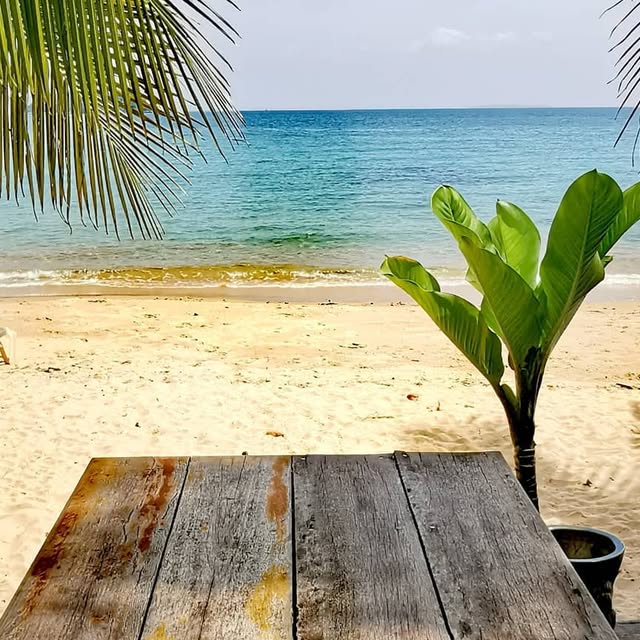 treehouse_kr's tweet card. Treehouse Bungalows (@treehouse_kohrong) • Instagram photos and videos