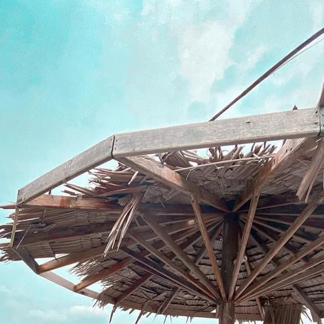 treehouse_kr's tweet card. Treehouse Bungalows (@treehouse_kohrong) • Instagram photo