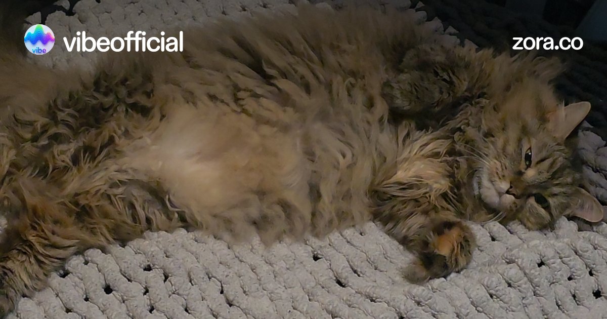 havehonorfaith's tweet card. Zelda wants you to be as comfy as her today. Showing yourself love and compassion and relaxing into your growth. oh and she says "Purr" 🤪😅 ✨️👁✨️