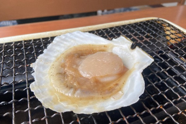 lightningtensi's tweet card. 　中国が日本産水産物の輸入申請の受け付けを当面停止すると日本政府に通知したことが19日、明らかになった。　中国は、東京電力福島第1原発の処理水海洋放出に伴い2023年8月から続けてきた日本